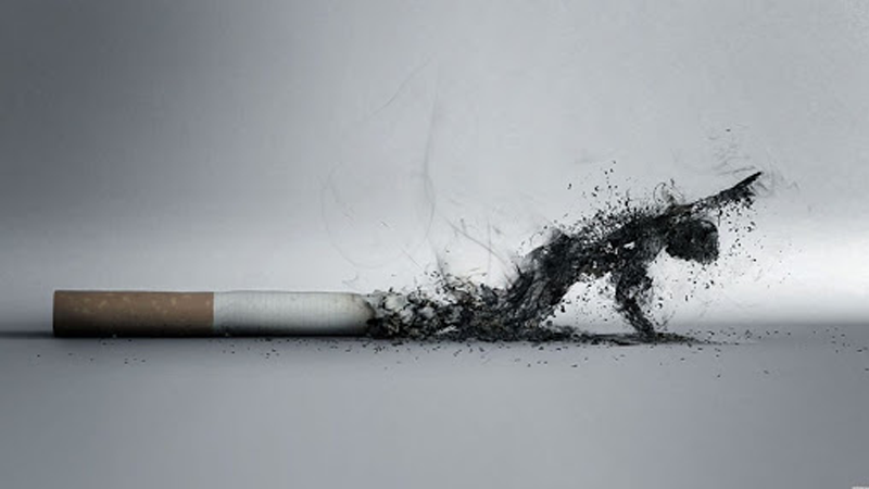 Hình ảnh vỏ thuốc lá tuyên truyền tác hại có từ bao giờ