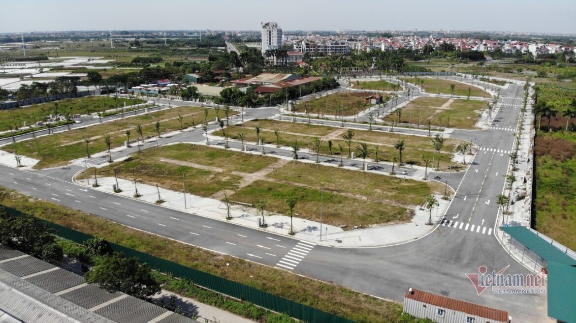 Sai phạm đấu giá qsdđ Vimedimex