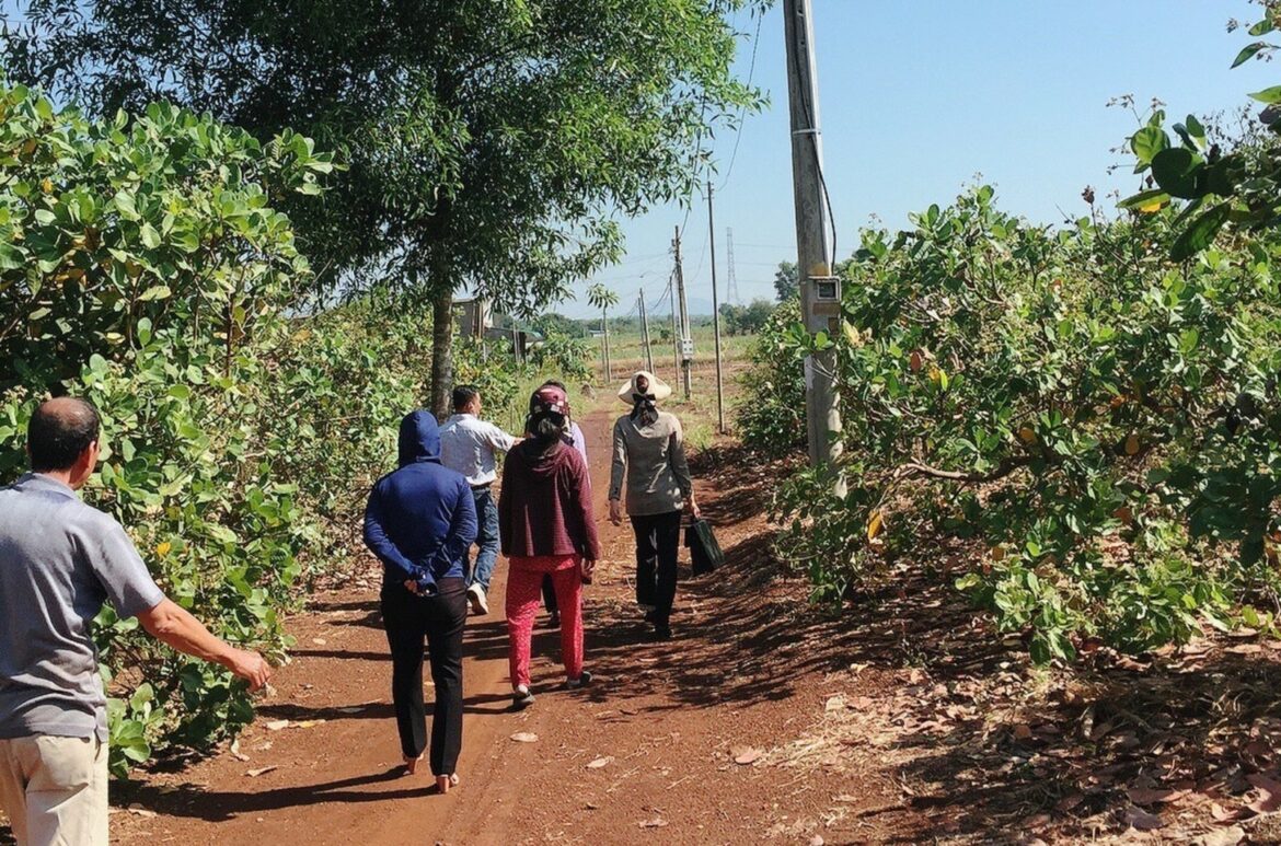 Kiểm tra đất có tranh chấp như thế nào?