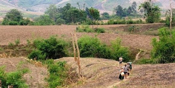 Mẫu đơn xin xác nhận đất khai hoang mới nhất năm 2022