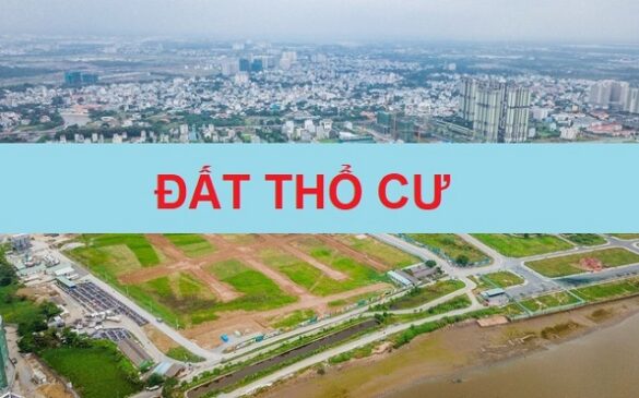 Cách xem đất có thổ cư không