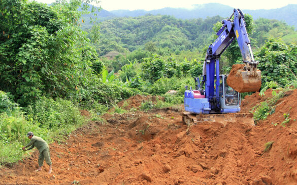 Mua đất khai hoang không có giấy tờ