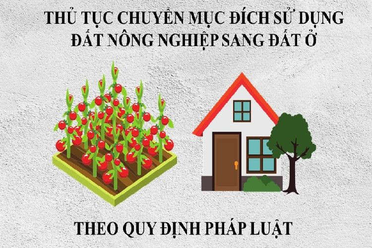 Xây nhà trên đất ao có bị phạt không?