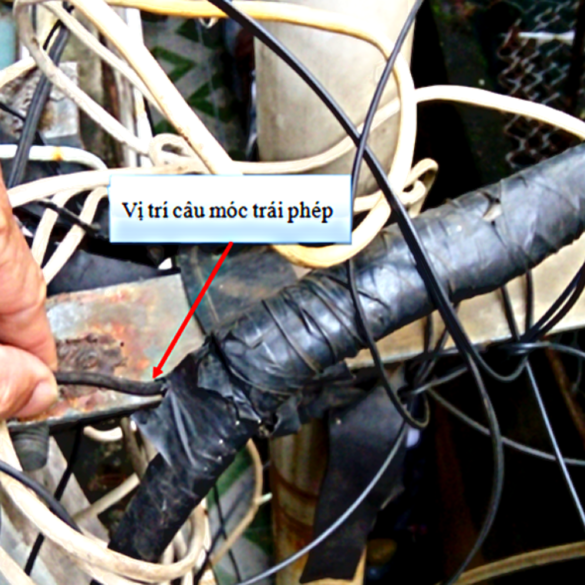 Câu móc điện trái phép bị xử lý như thế nào?