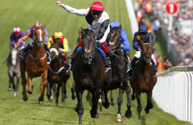 Có thể đặt cược đua ngựa tối đa bao nhiêu tiền trong một ngày