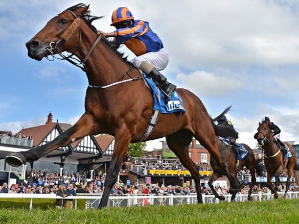 Có thể đặt cược đua ngựa tối đa bao nhiêu tiền trong một ngày