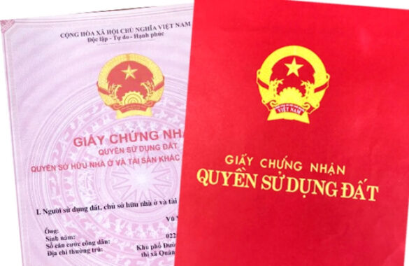 Đất lấn chiếm có được xin cấp sổ đỏ không