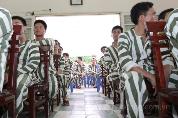 Phạm nhân trước khi ra tù có được tư vấn về lao động không?