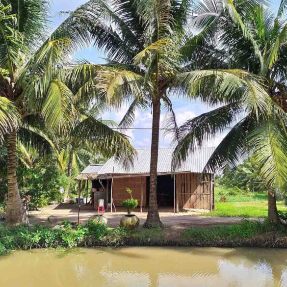 Cách tính thuế đất ở nông thôn tại Việt Nam như thế nào?