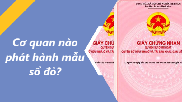 Cơ quan nào phát hành mẫu sổ đỏ?