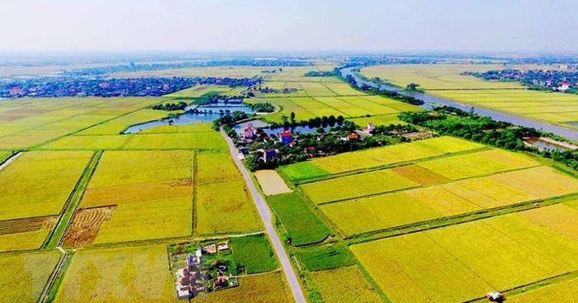 Hợp thức hóa đất lấn chiếm ra làm sao?