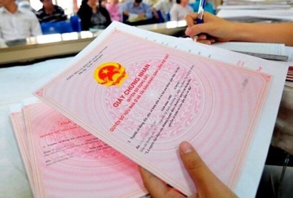 Đất cấp sai đã chuyển nhượng có được thu hồi không?