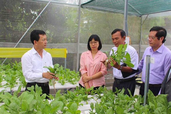 Chuyển đổi cơ cấu cây trồng là gì theo quy định năm 2022?