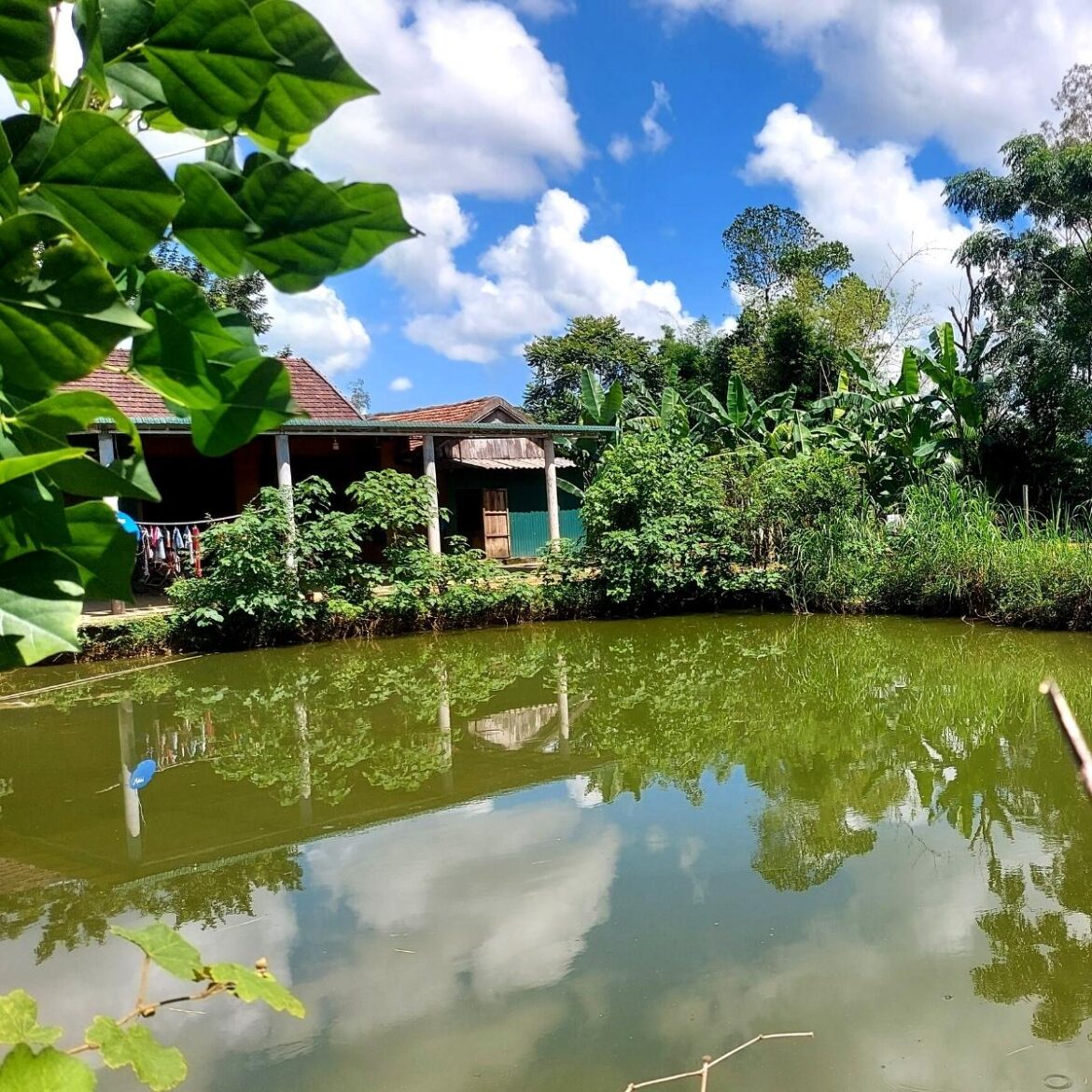 Hồ sơ cấp sổ đỏ cho đất ao gồm những gì?