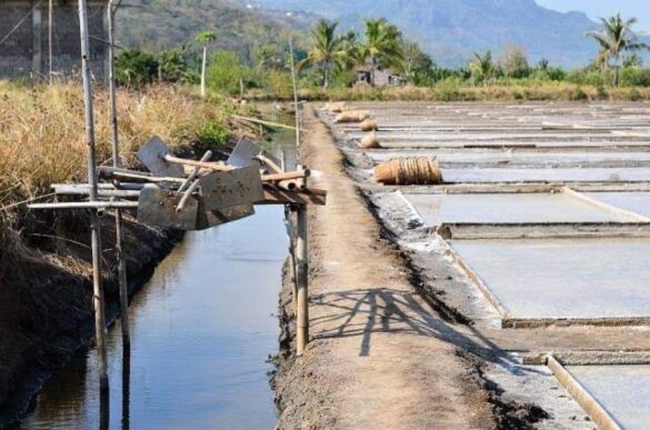 Lấp mương thủy lợi trái phép bị phạt như thế nào QĐ mới 2022?