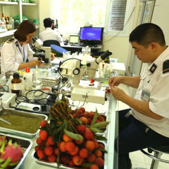 Mẫu đơn đăng ký kiểm dịch thực vật mới năm 2022