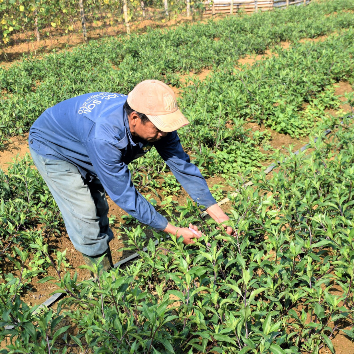 Sử dụng đất của người khác có được không?