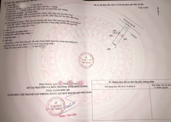 Cách ghi nguồn gốc sử dụng đất như thế nào?