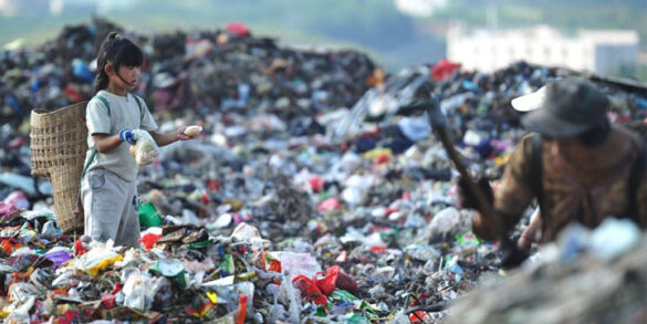 Dấu hiệu vi phạm hình sự về môi trường theo quy định pháp luật?