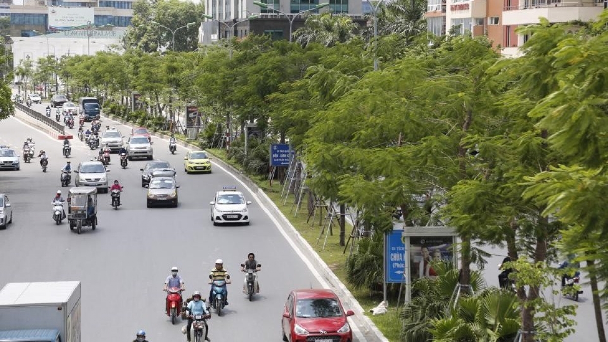 Quy định về quản lý cây xanh đô thị Hà Nội năm 2022