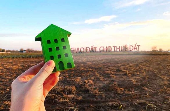 UBND xã cho thuê đất không đúng thẩm quyền xử lý thế nào?