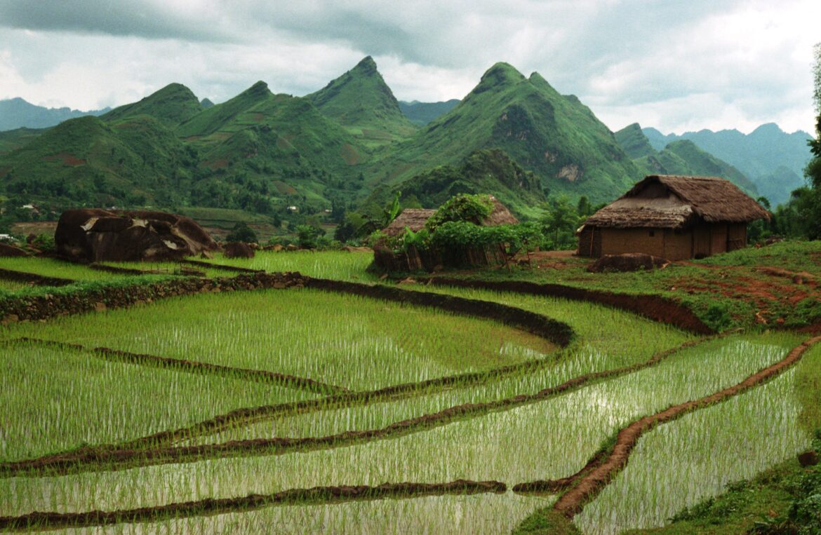 Xử lý đất bị chồng ranh hiện nay như thế nào theo quy định Xử lý đất bị chồng ranh hiện nay như thế nào theo quy định?