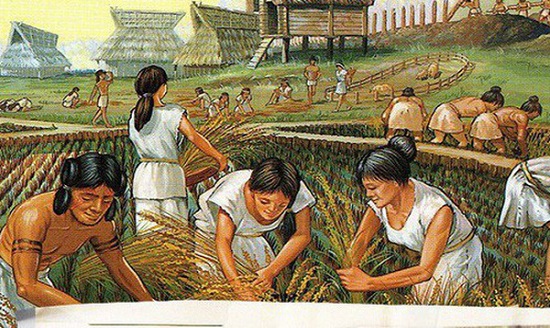 Chính sách của lao động nông nghiệp theo quy định nào đến năm 2023?