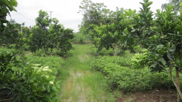 Điều kiện bồi thường khi nhà nước thu hồi đất năm 2022