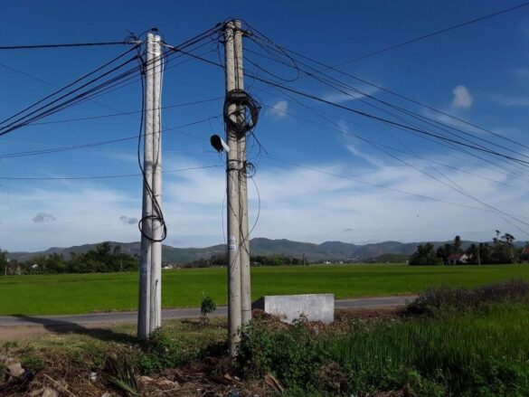 Điều kiện di dời cột điện trên đất