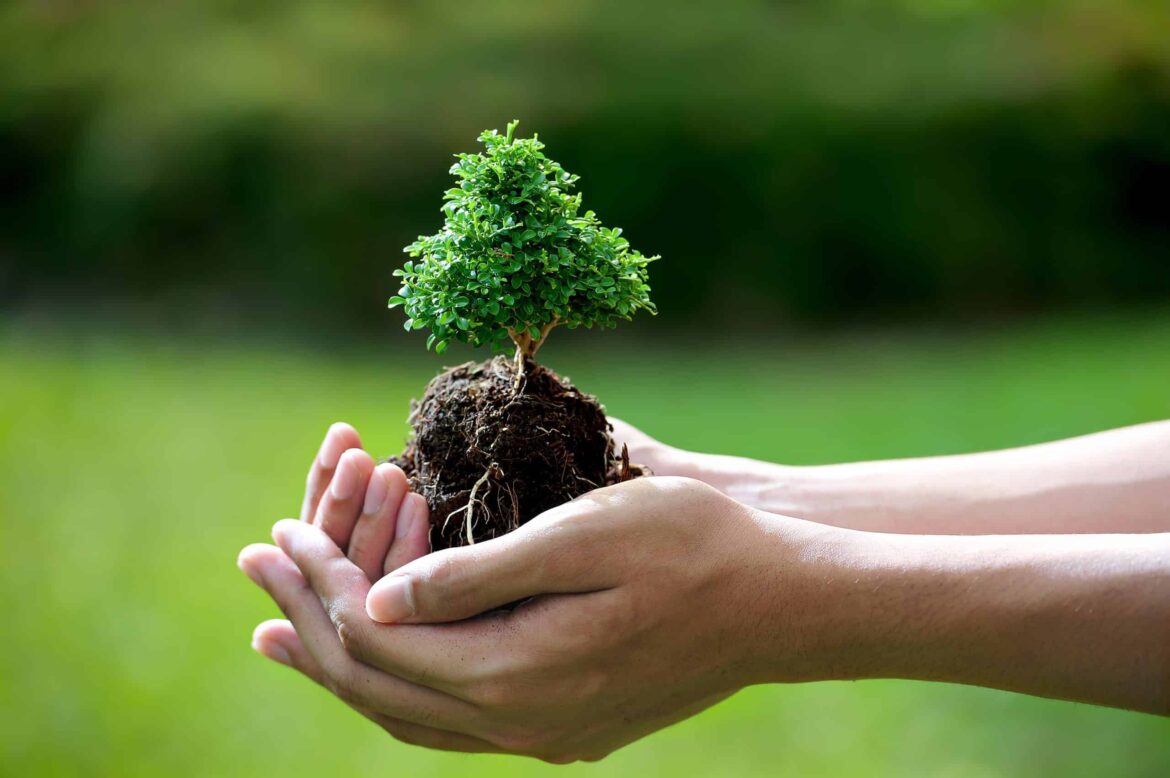 Đối tượng phải đăng ký kế hoạch bảo vệ môi trường năm 2023 Đối tượng phải đăng ký kế hoạch bảo vệ môi trường năm 2023