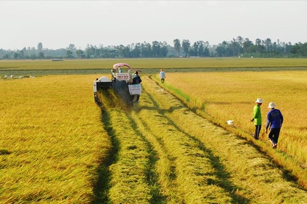 Giá đền bù đất nông nghiệp Hà Nội 2022