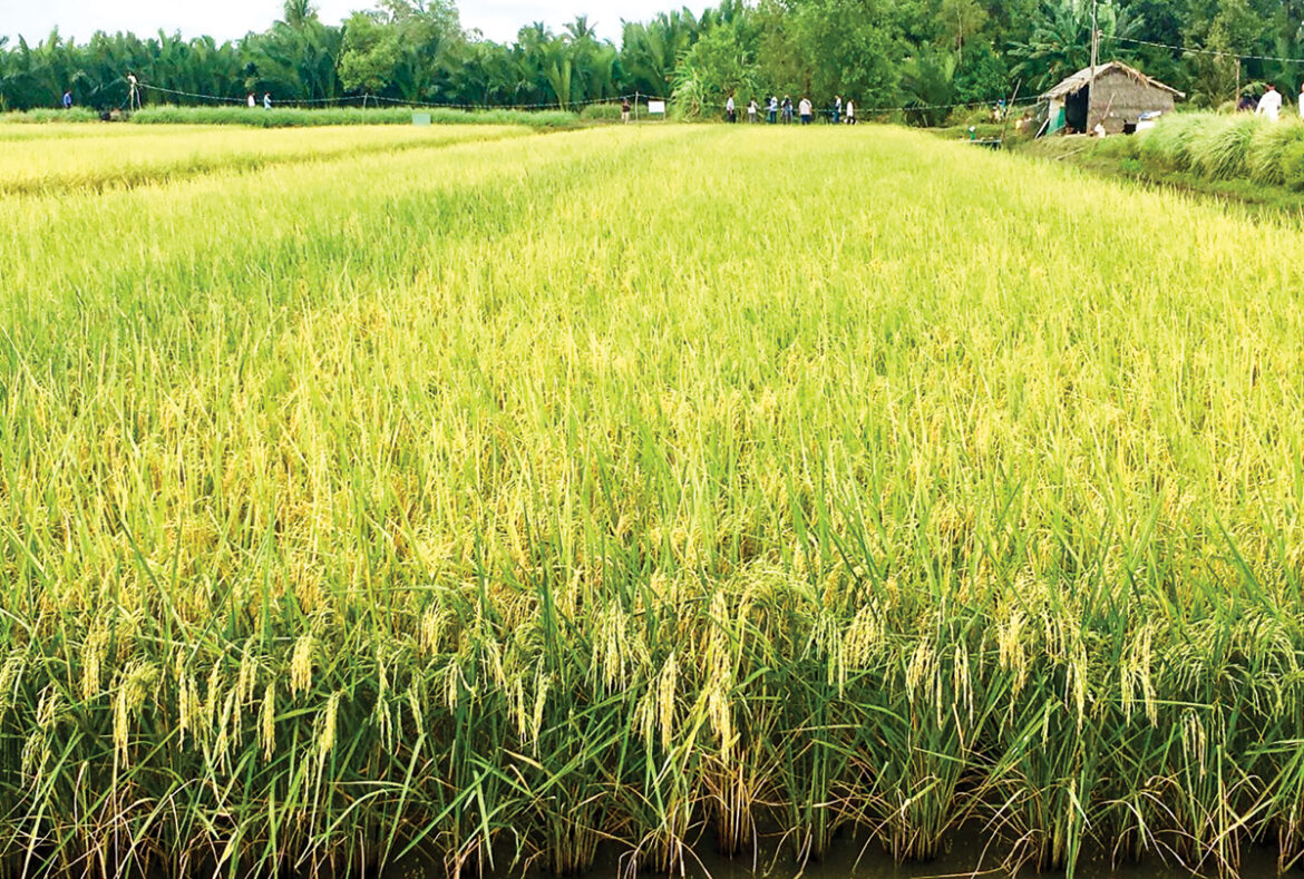 Giá đền bù đất nông nghiệp tại Hà Nội