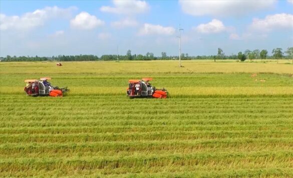 Mỗi người được sở hữu bao nhiêu đất nông nghiệp theo quy định năm 2023?