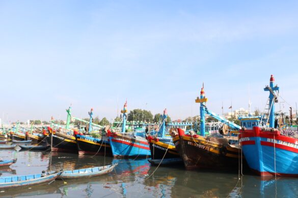 Phân loại cơ sở đóng mới cải hoán tàu cá như thế nào