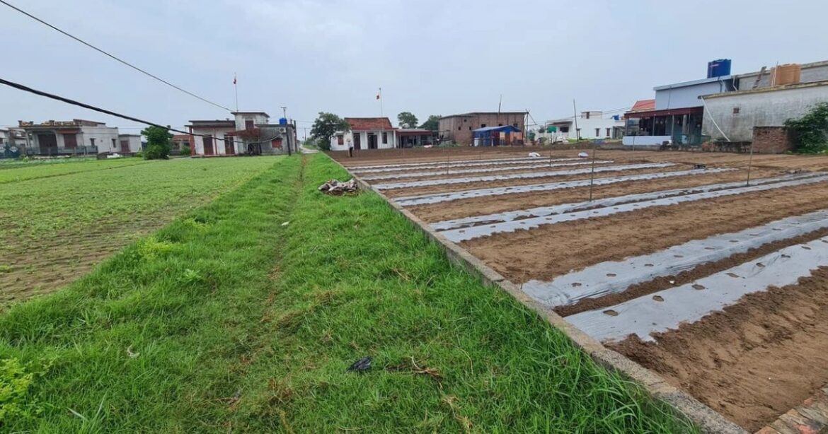 Quy định về đất phục vụ mục đích công ích