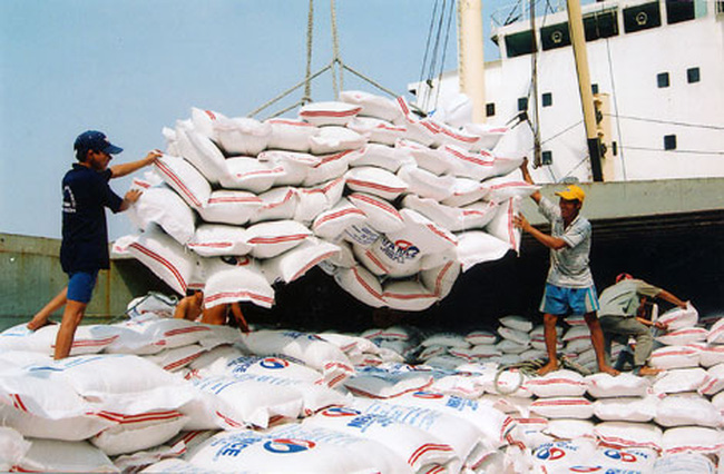 Xuất khẩu gạo có cần xin giấy phép hay không?