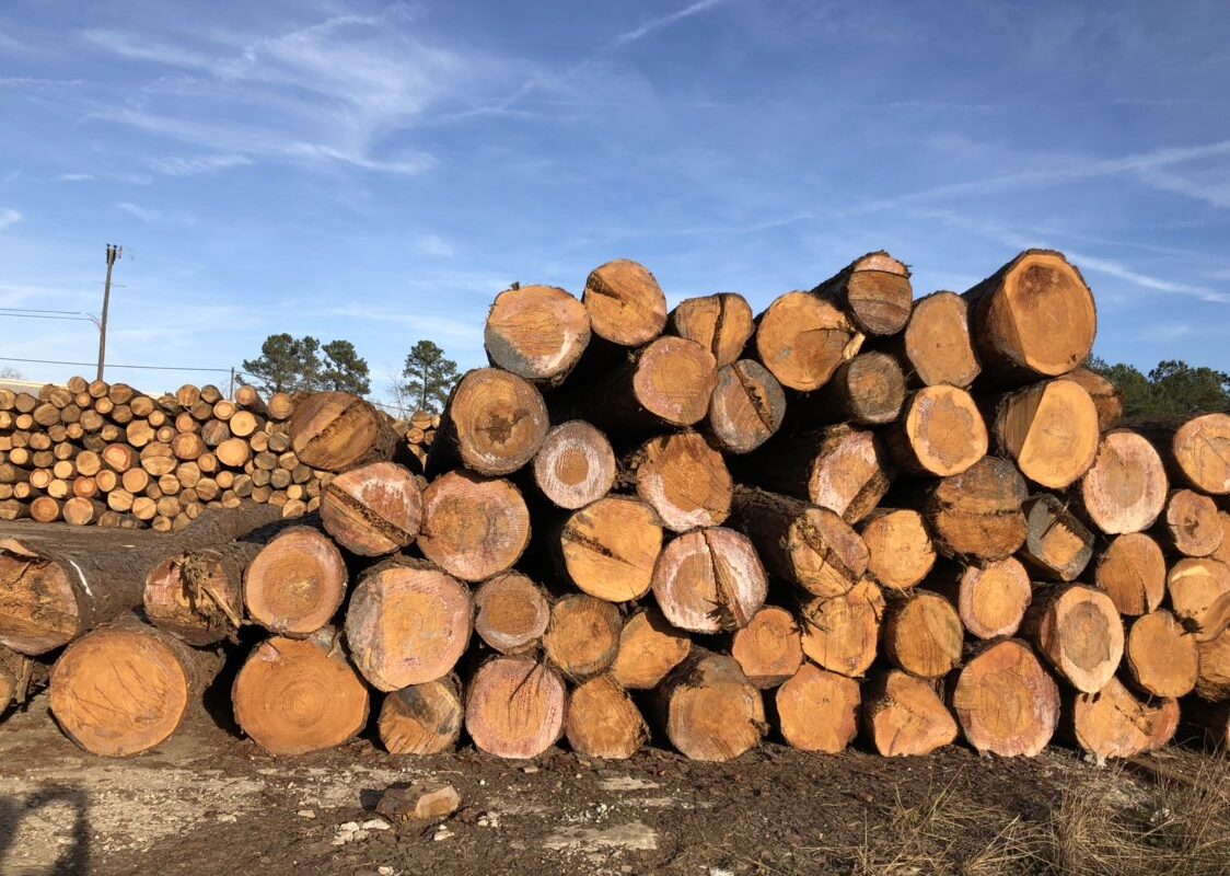 Giải quyết tranh chấp hợp đồng khai thác gỗ