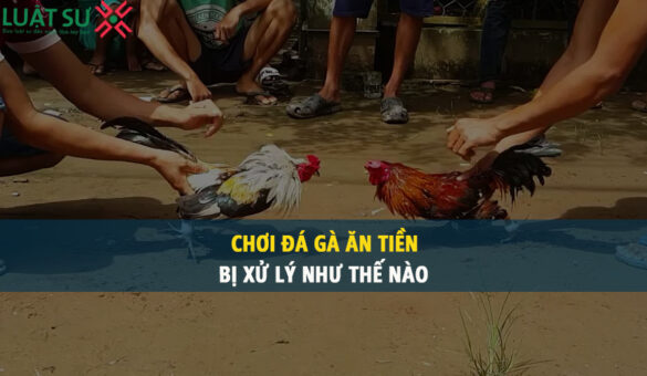 Hình thức đá gà ăn tiền bị xử lý thế nào năm 2023?