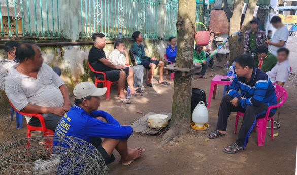 Tội tổ chức đá gà sẽ bị xử phạt hành chính như thế nào?