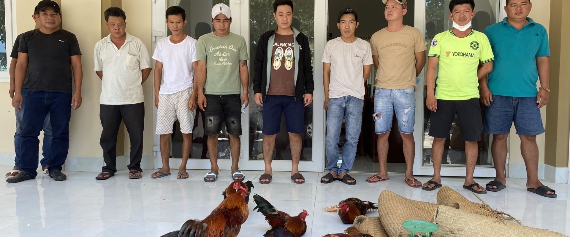 Xem đá gà có bị phạt không