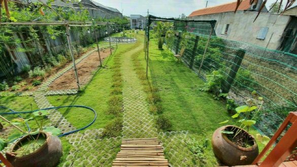 Đất vườn tạp là gì? Có thời hạn sử dụng bao nhiêu năm?