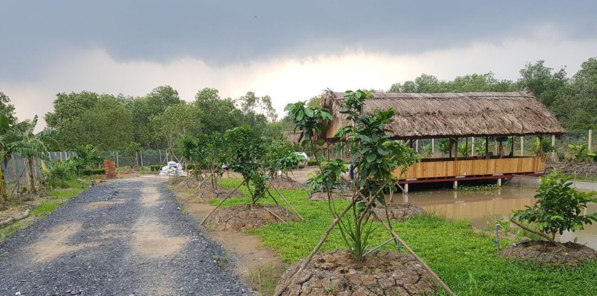 Hạn mức chuyển đổi đất vườn sang đất ở