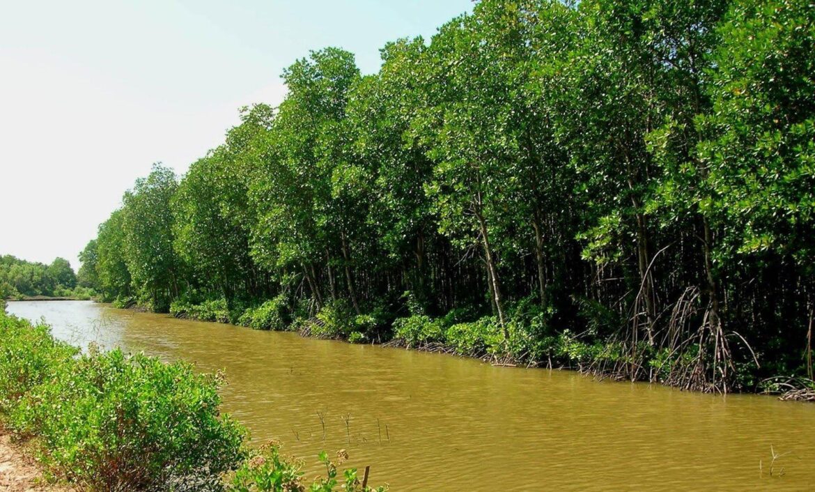 Phí gia hạn đất trồng cây lâu năm năm 2023 là bao nhiêu?