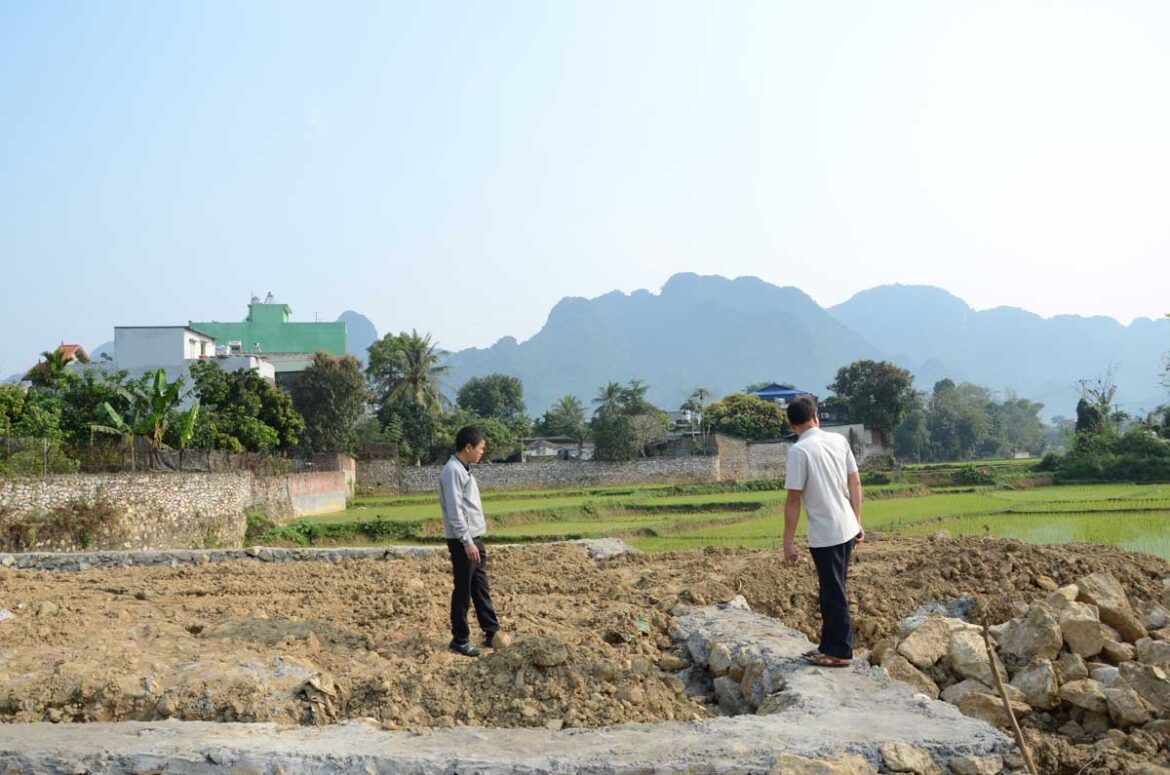 Thu hồi đất lấn chiếm trái phép như thế nào Thu hồi đất lấn chiếm trái phép như thế nào?