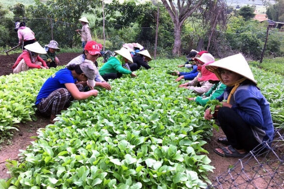 Khung giá đền bù đất nông nghiệp theo quy định năm 2023